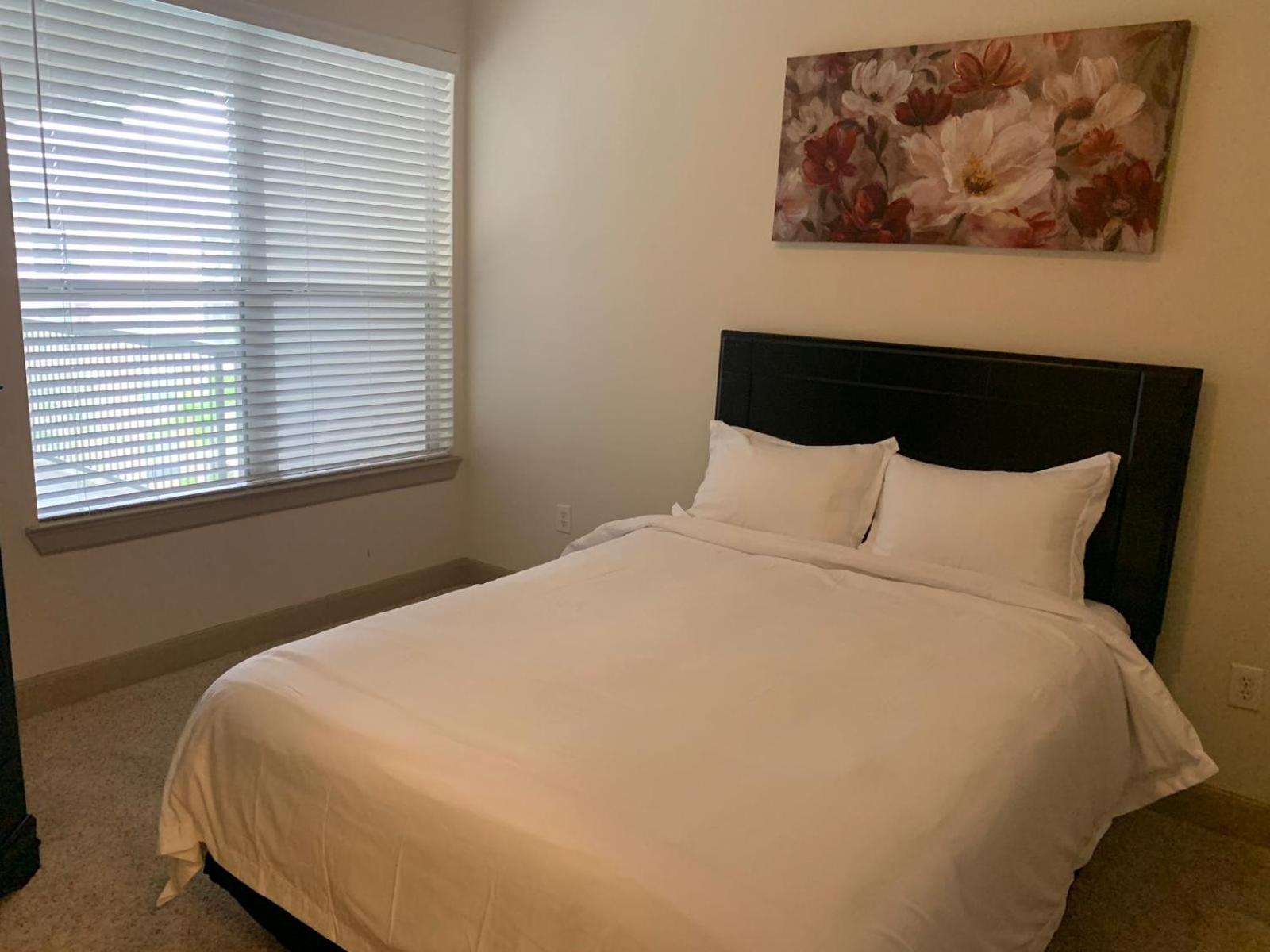 Gorgeous Furnished Apartments Near Texas Medical Center & Nrg Stadium ヒューストン 部屋 写真