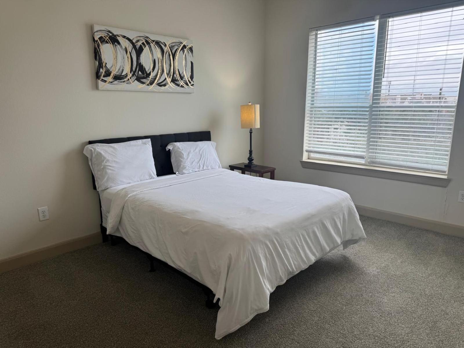 Gorgeous Furnished Apartments Near Texas Medical Center & Nrg Stadium ヒューストン 部屋 写真