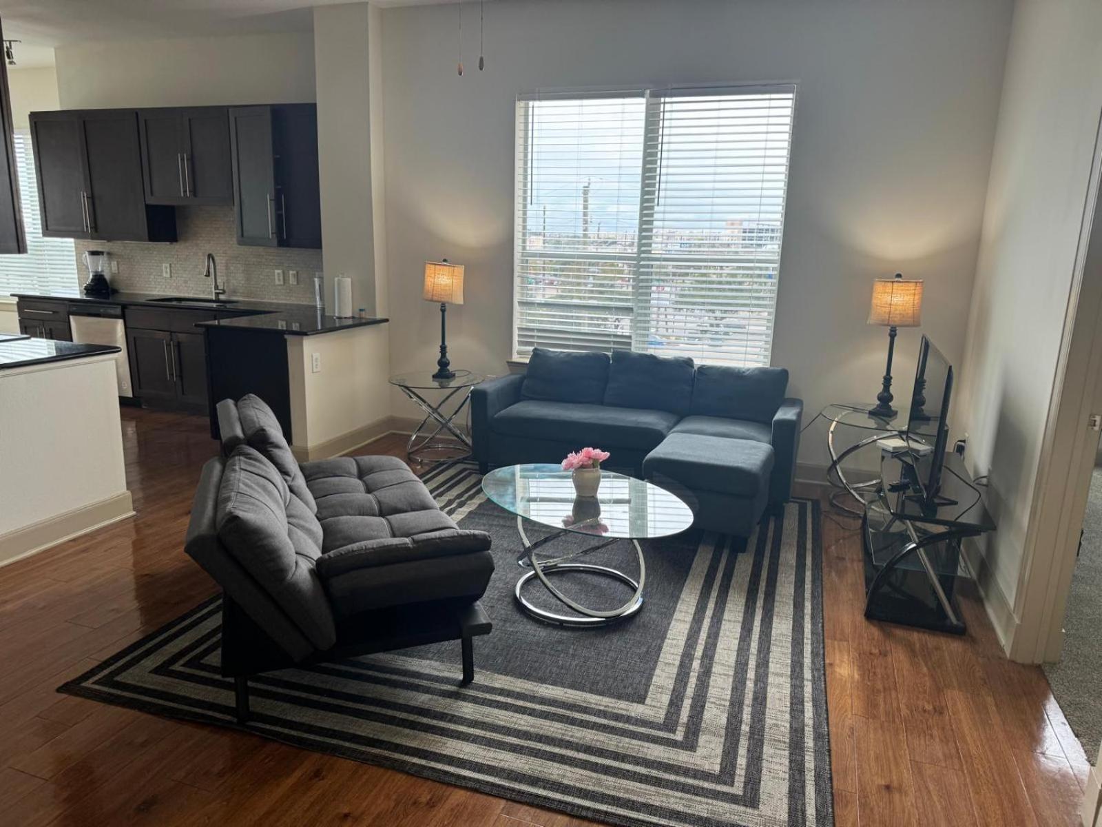 Gorgeous Furnished Apartments Near Texas Medical Center & Nrg Stadium ヒューストン 部屋 写真