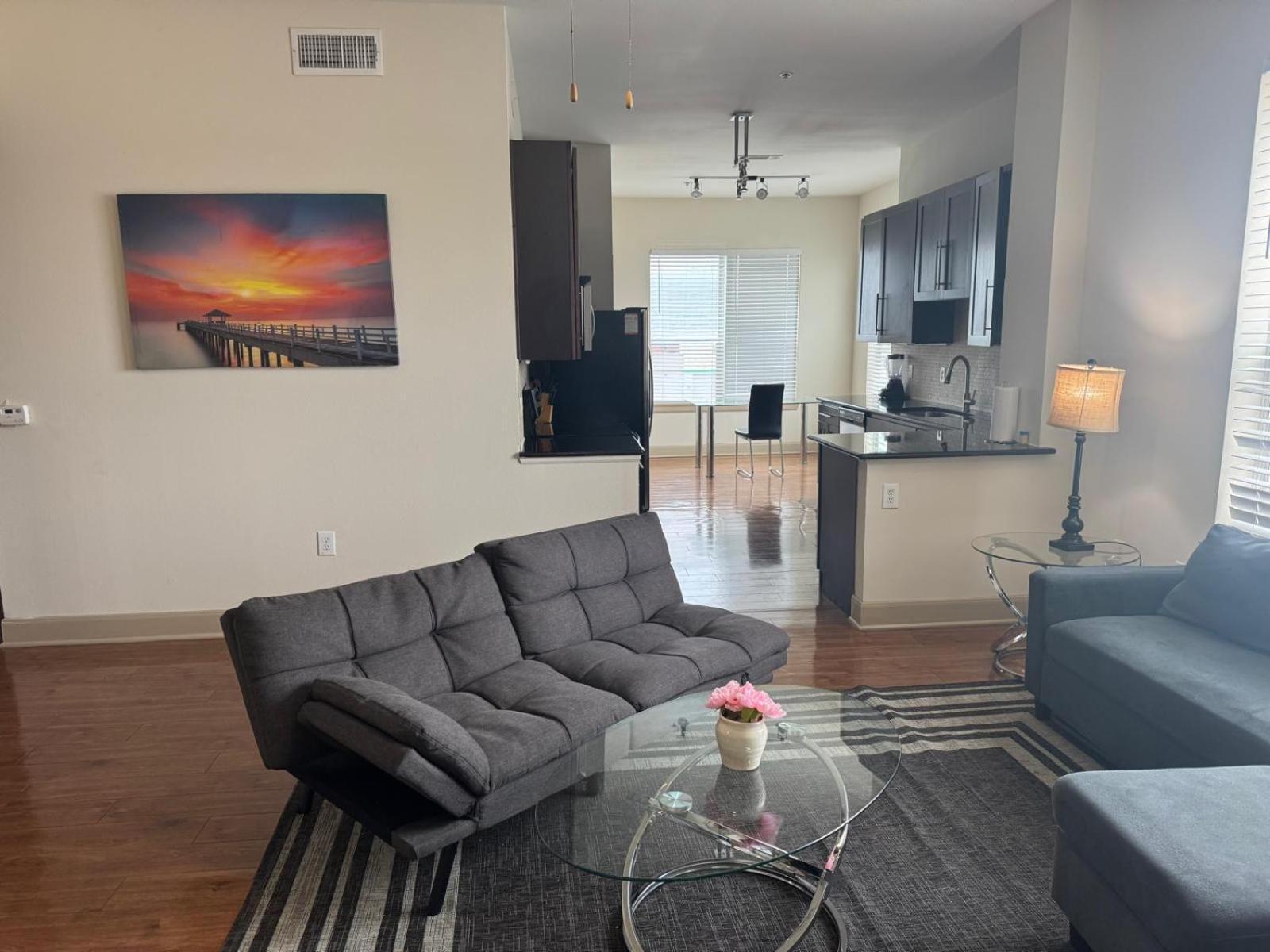 Gorgeous Furnished Apartments Near Texas Medical Center & Nrg Stadium ヒューストン 部屋 写真